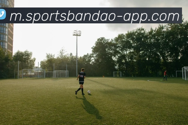 半岛体育全站App